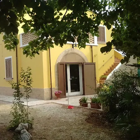 Edera * Porto SantʼElpidio