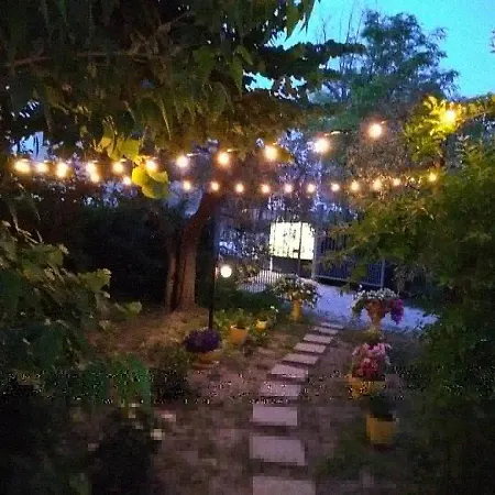 Edera Bed and breakfast Porto SantʼElpidio