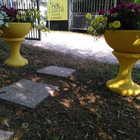 Edera * Porto SantʼElpidio