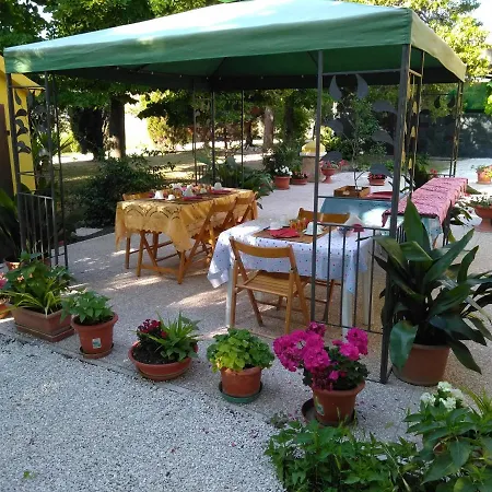 Edera Porto Sant'Elpidio